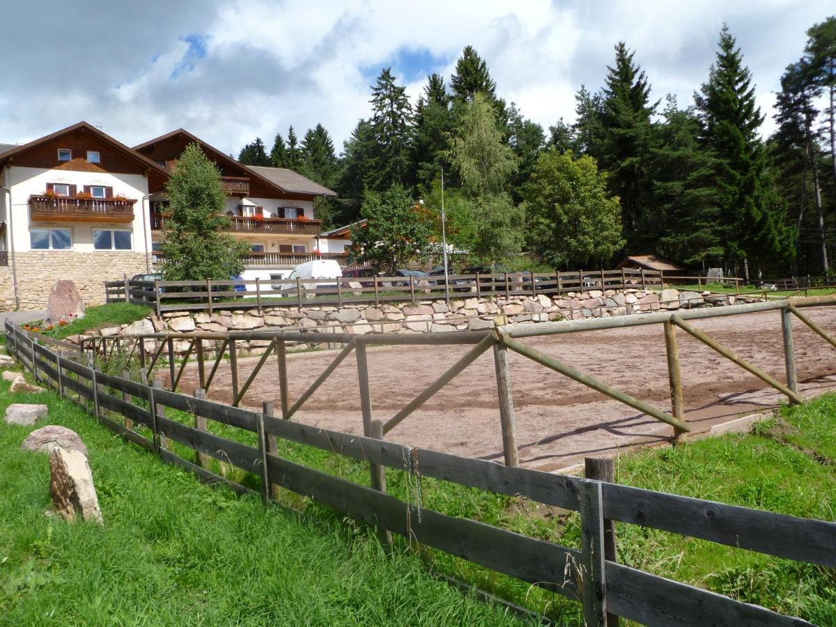 Reiterhof Edelweiss Otel San Genesio Atesino Dış mekan fotoğraf