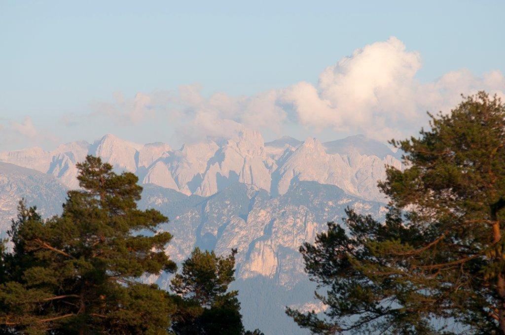 Reiterhof Edelweiss Otel San Genesio Atesino Dış mekan fotoğraf